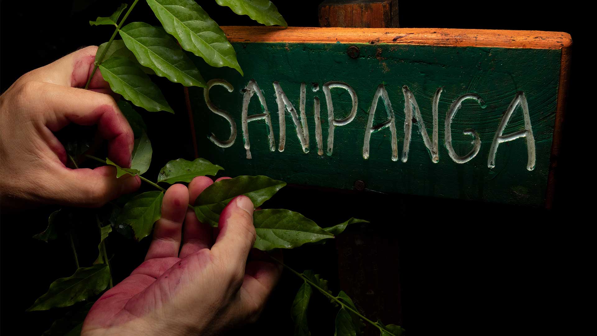 postcard cover image