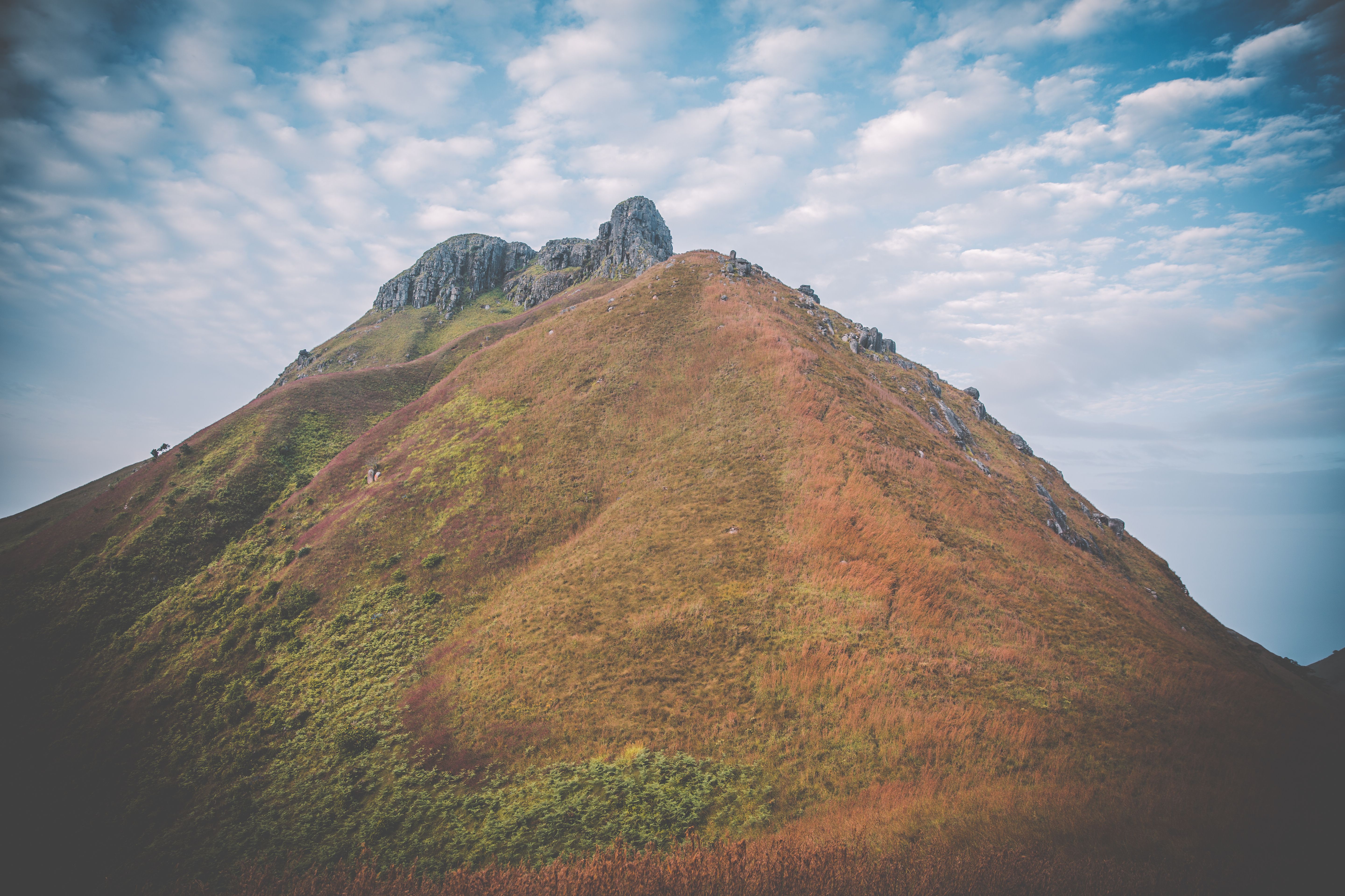 postcard cover image