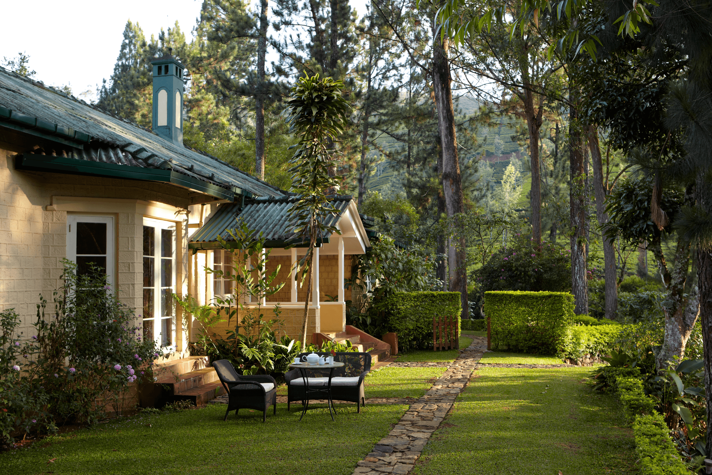 Ceylon Tea Trails photograph 1