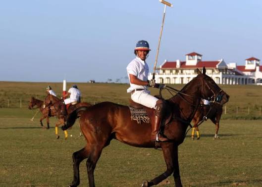 Estancia Vik photograph 1